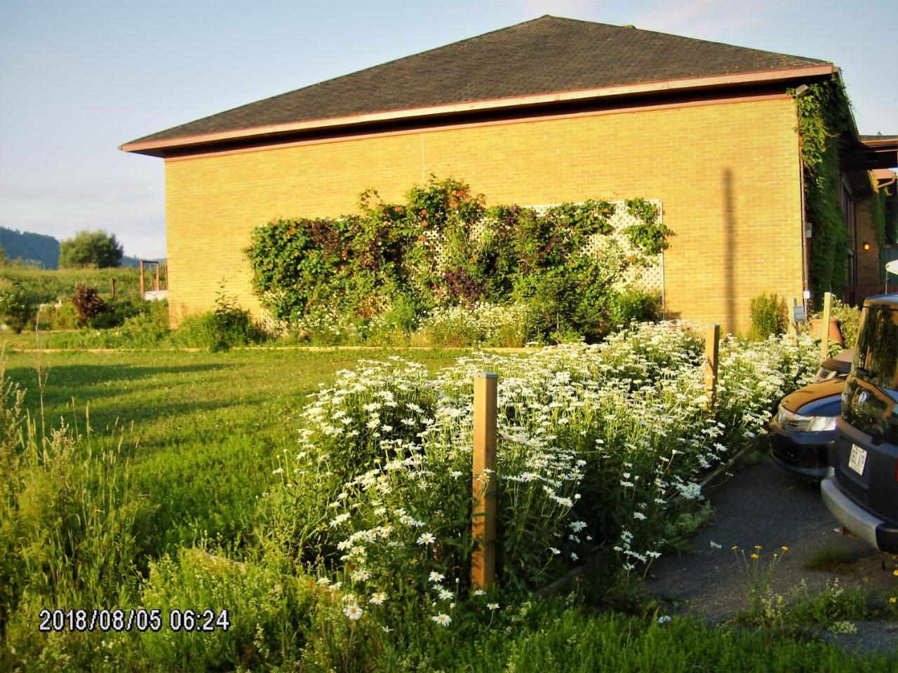 Auberge Internationale La Vieille Ecole Sainte Anne-des-Chênes Buitenkant foto