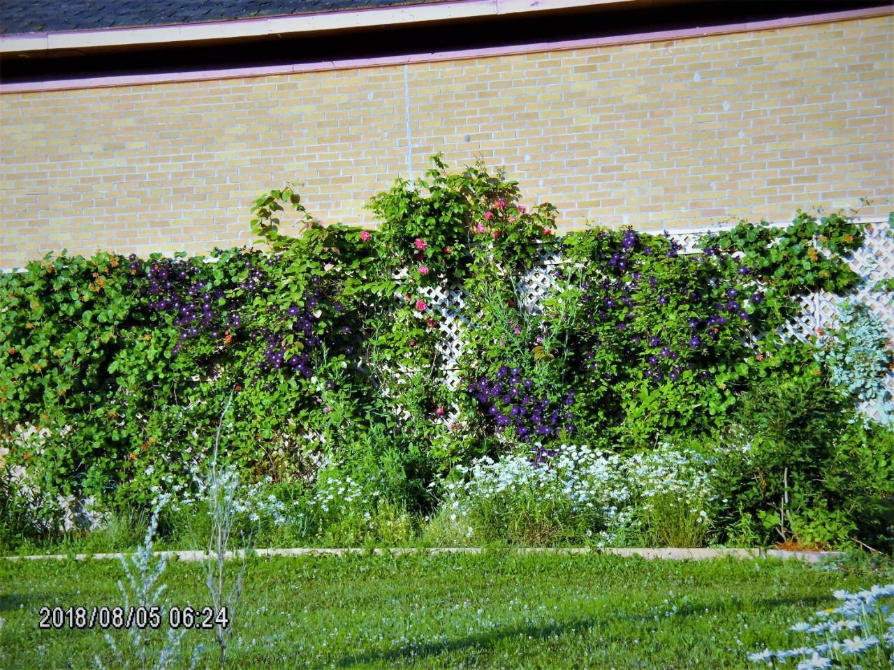 Auberge Internationale La Vieille Ecole Sainte Anne-des-Chênes Buitenkant foto