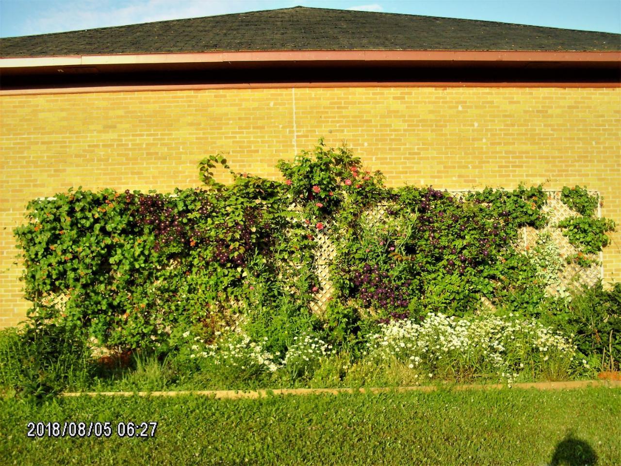 Auberge Internationale La Vieille Ecole Sainte Anne-des-Chênes Buitenkant foto